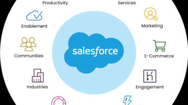 Salesforce license and administration